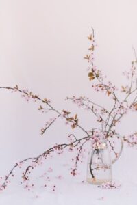 white flowers on clear glass jar