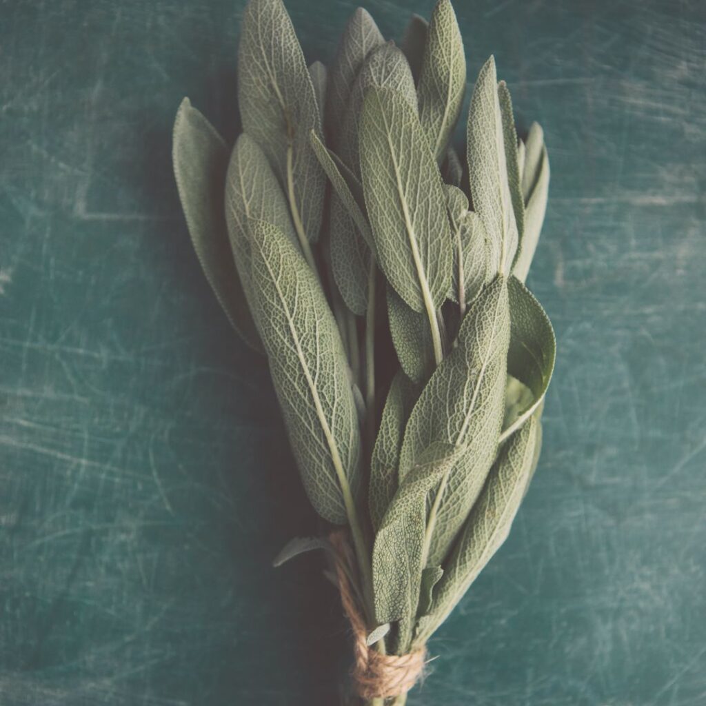sage to cleanse