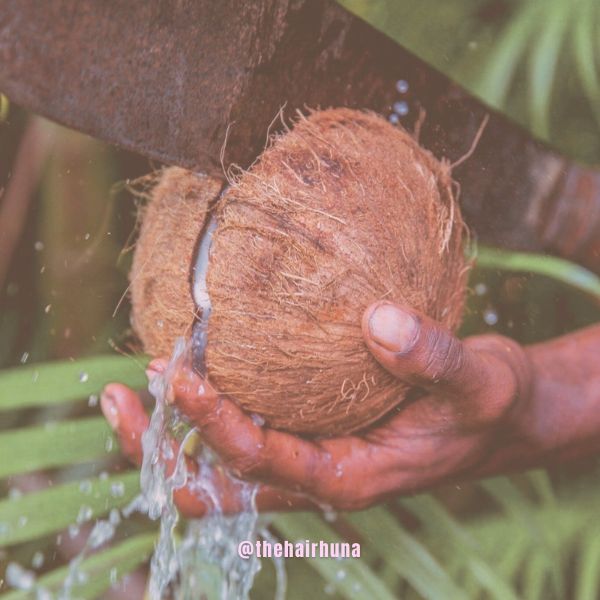 Choppin' Coconuts